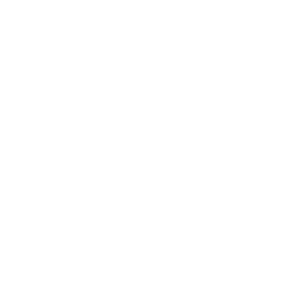 Lone Tree
